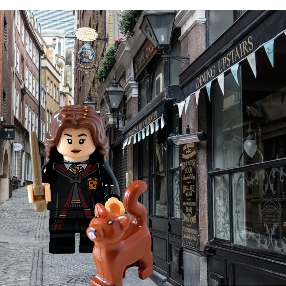 Harry Potter Hermione Granger Crookshanks Mini Figure Lego Compatible